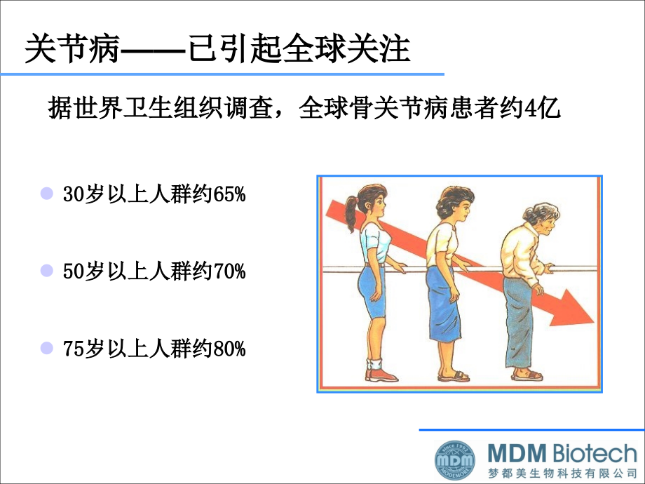 史诺舒关节营养霜综述.ppt_第2页