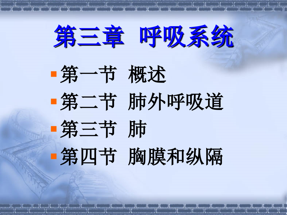 正常人体解剖学-呼吸系统.ppt_第1页