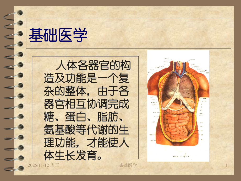 基础医学珍奥版.ppt_第1页