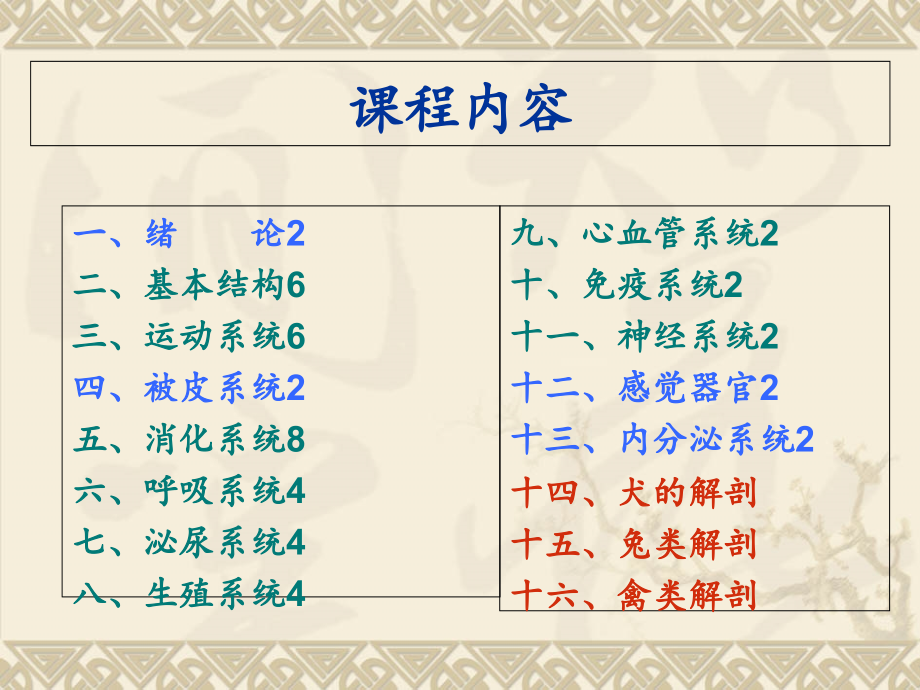 宠物解剖.ppt_第1页