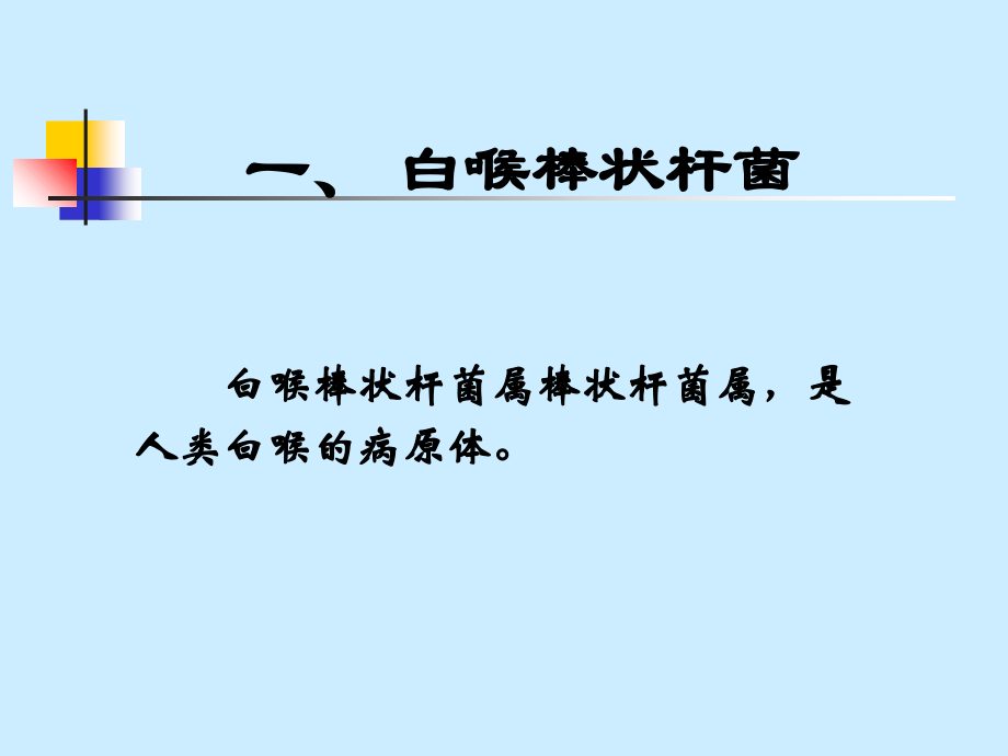 微生物-第21章其他病原性细菌.ppt_第2页