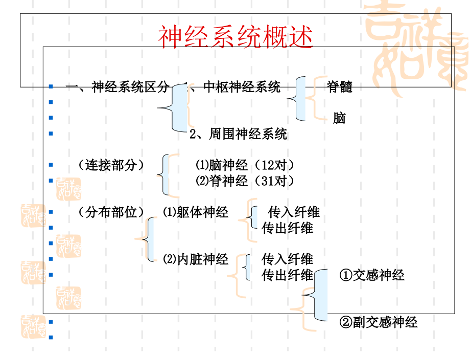 实验十二-神经系统-脑.ppt_第1页