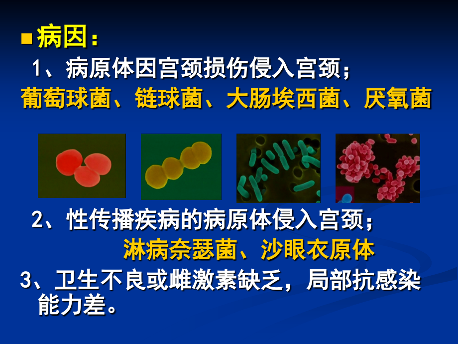 妇科护理——宫颈炎、盆腔炎的护理.ppt_第2页