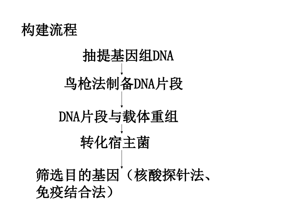 外源基因的获取.ppt_第2页