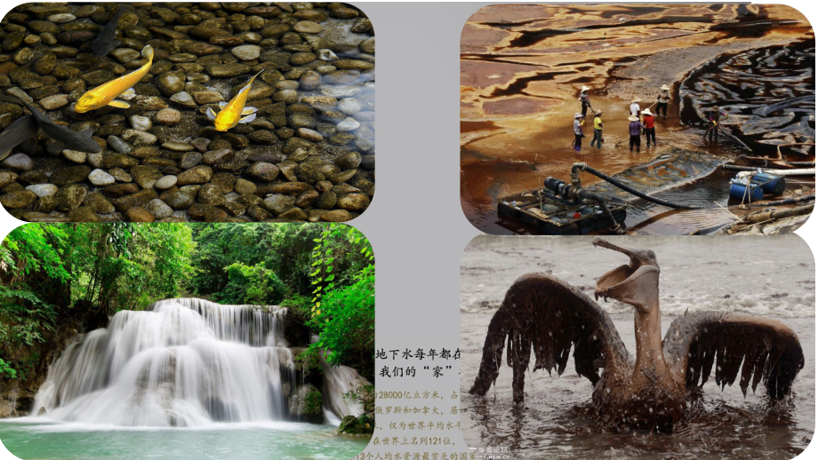 水污染与防治.pptx_第1页