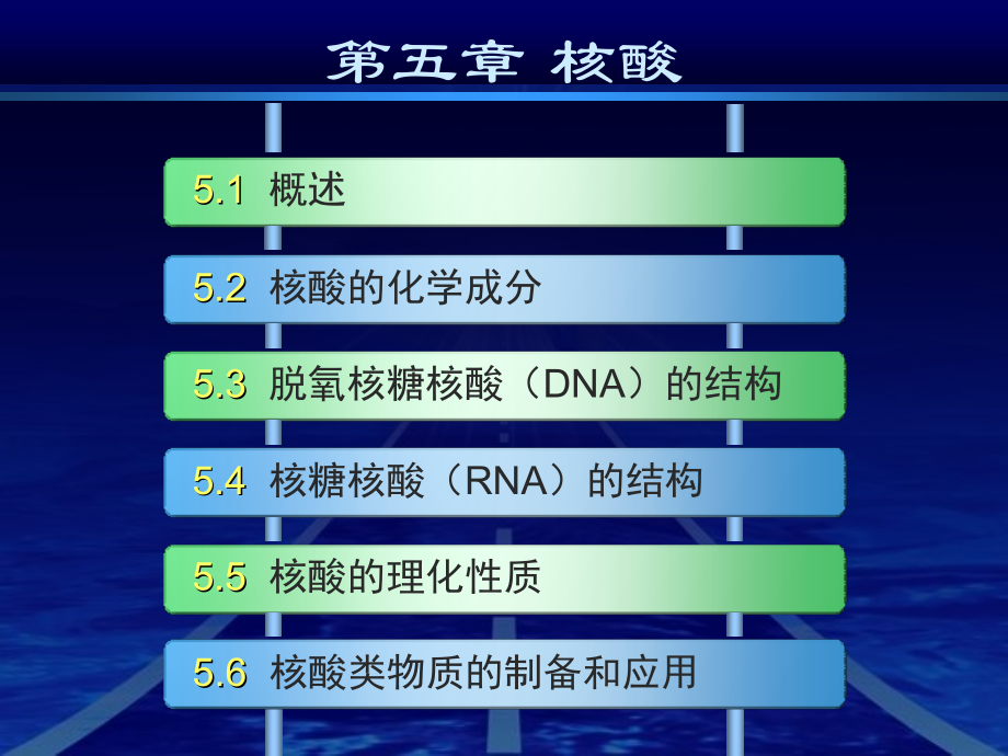 五：核酸.ppt_第1页