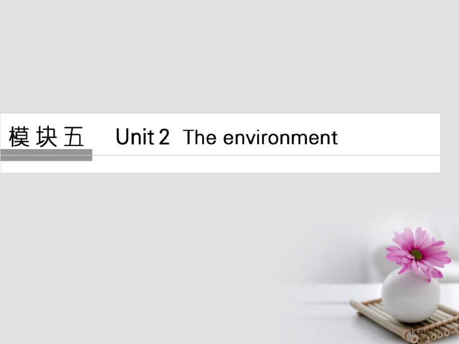 高考英语复习模块五Unit2Theenvironment牛津译林版市赛课公开课一等奖省名师优质课获奖.pptx_第1页