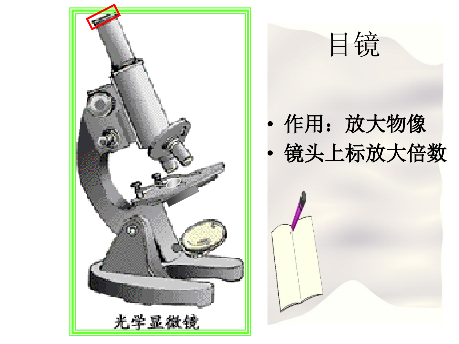 显微镜结构功能和细胞的结构.ppt_第2页