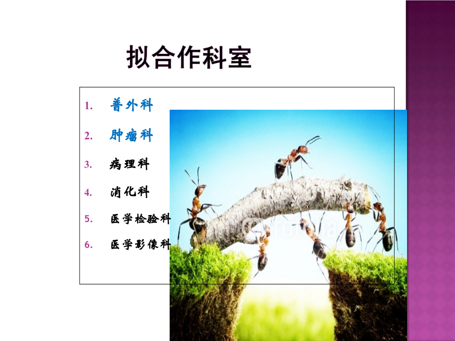 专病诊治项目(修改)---副本.ppt_第1页