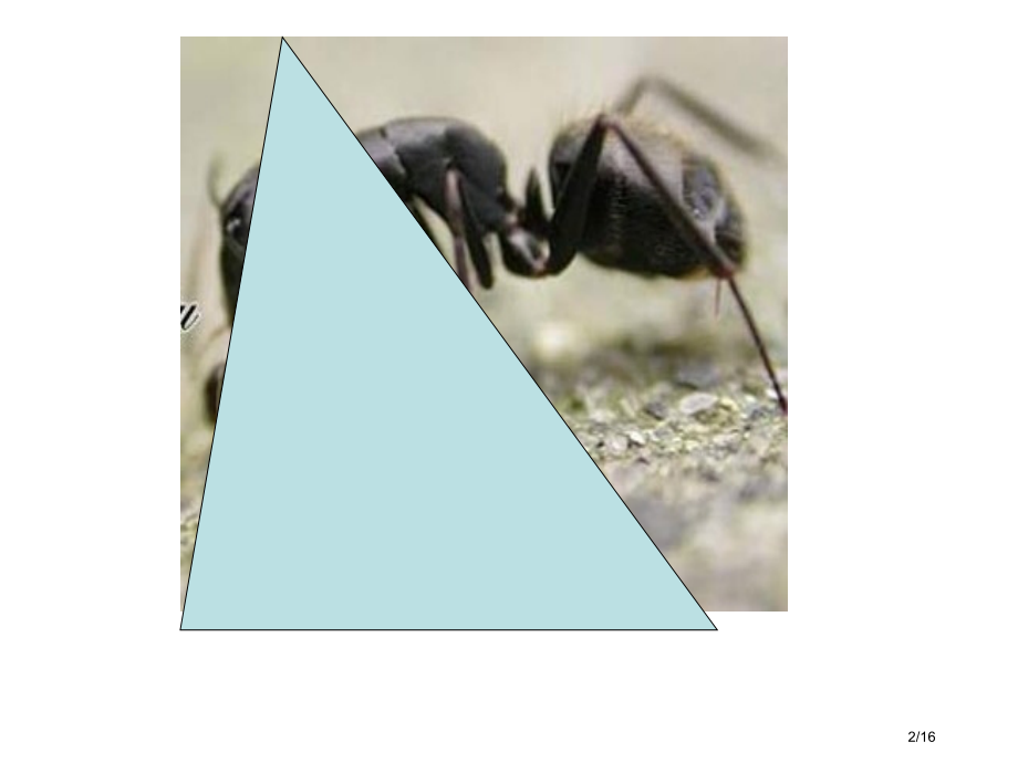 牛津苏教五下Unit8Attheweekends之一市公开课一等奖省赛课微课金奖课件.pptx_第2页