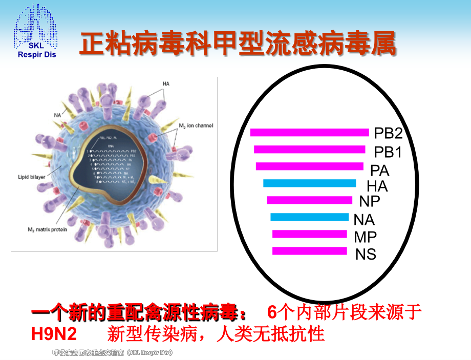 抢救病例分析.ppt_第2页