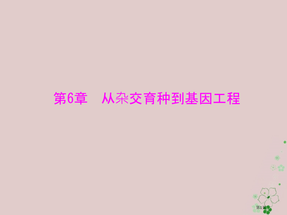 高考生物总复习第6章从杂交育种到基因工程第12节杂交育种与诱变育种基因工程及其应用必修全国公开课一等.pptx_第1页