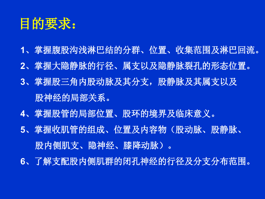 下肢解剖课件-前面.ppt_第1页