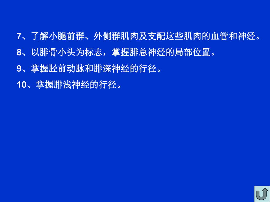 下肢解剖课件-前面.ppt_第2页