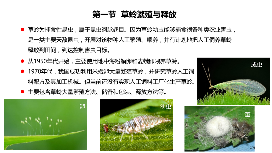 中山大学生物防治捕食性天敌繁殖与释放.pptx_第2页