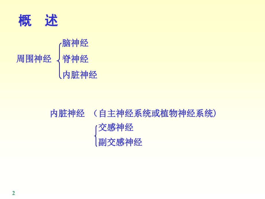 周围神经解剖详解.ppt_第2页