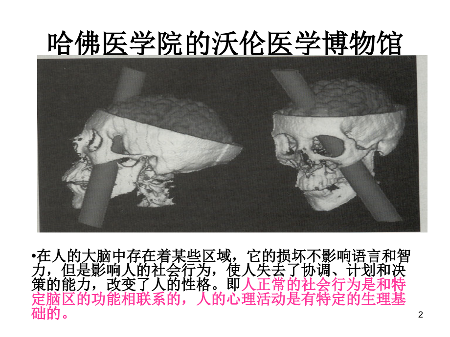 心理生理基础(2).ppt_第2页