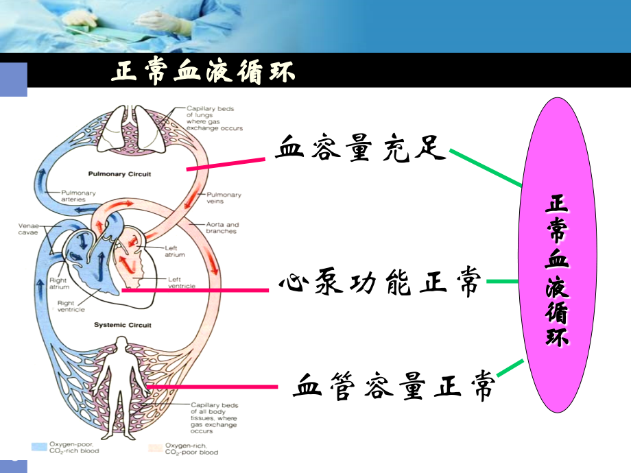 休克诊治简述.ppt_第2页