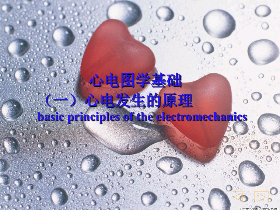 心电图诊断教学.ppt_第2页
