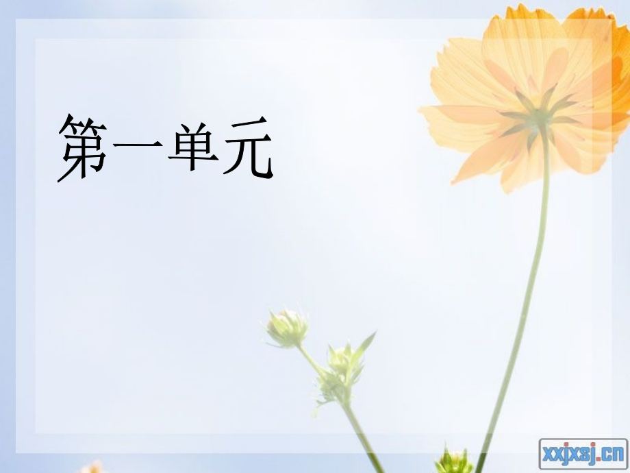 到4单元复习宝典.ppt_第1页