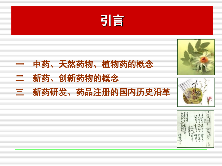 中药新药开发学.ppt_第1页