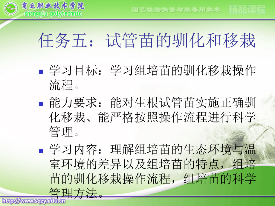 任务五：试管苗的驯化与移栽.ppt_第2页