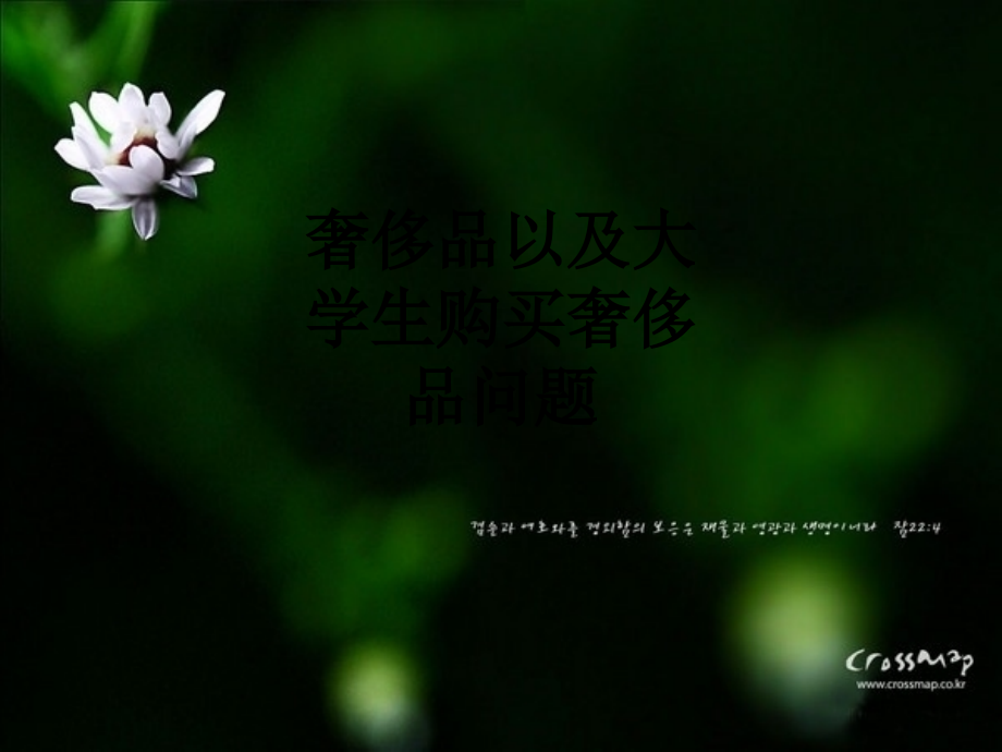 奢侈品以及大学生购买奢侈品问题.ppt_第1页