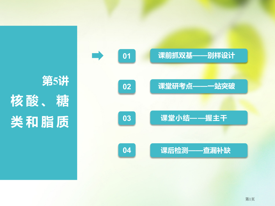 高考生物复习分子与细胞第一单元细胞及其分子组成第5讲核酸糖类和脂质全国公开课一等奖百校联赛示范课赛课.pptx_第1页