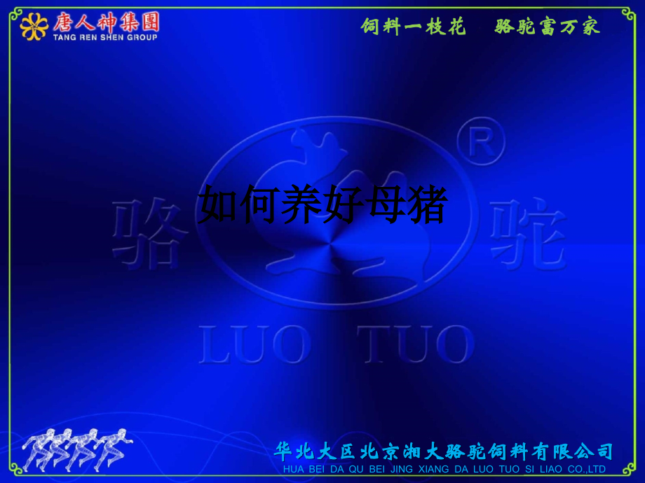 如何养好母猪.ppt_第1页