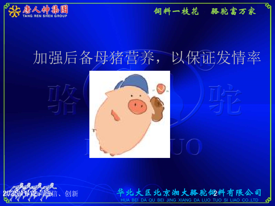 如何养好母猪.ppt_第2页