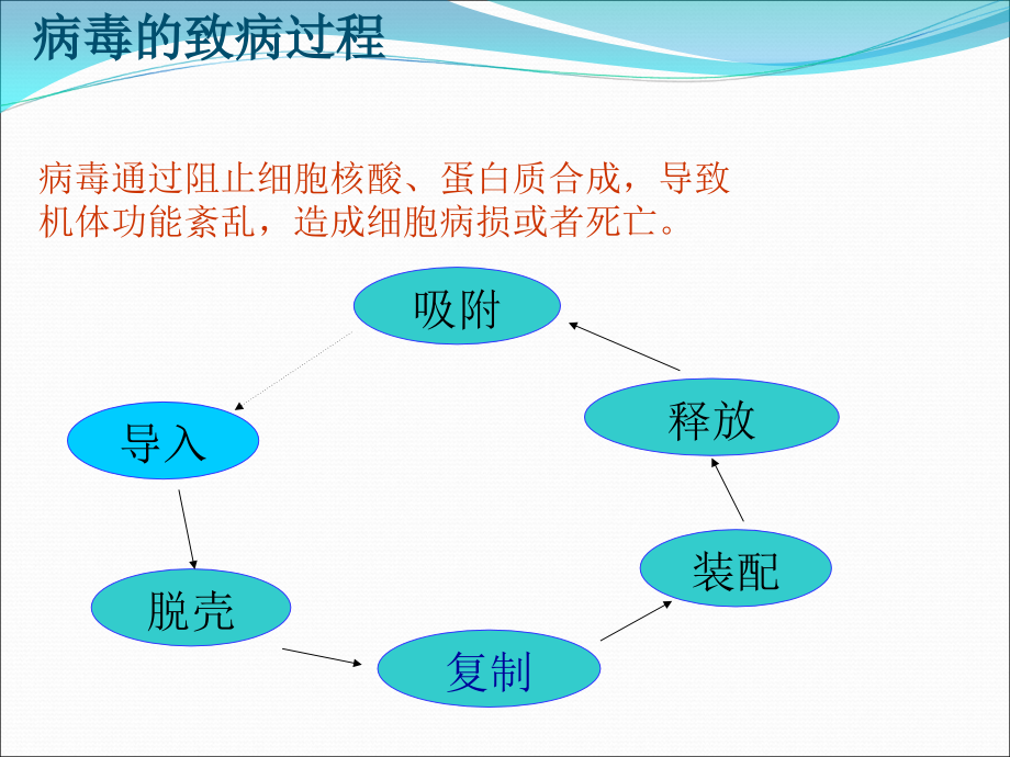 儿童的用利巴韦林学.ppt_第2页