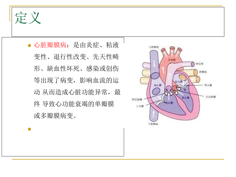 心脏瓣膜病护理查房.ppt_第1页