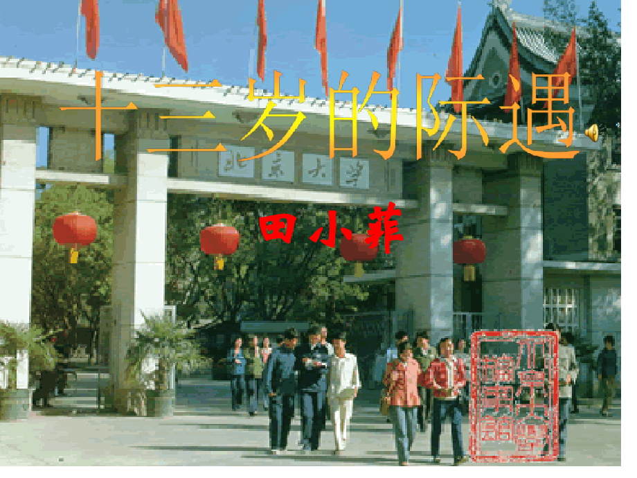 十三岁的际遇市公开课一等奖市赛课金奖课件.pptx_第1页