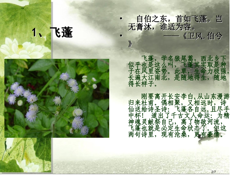 诗经中的植物.pptx_第2页