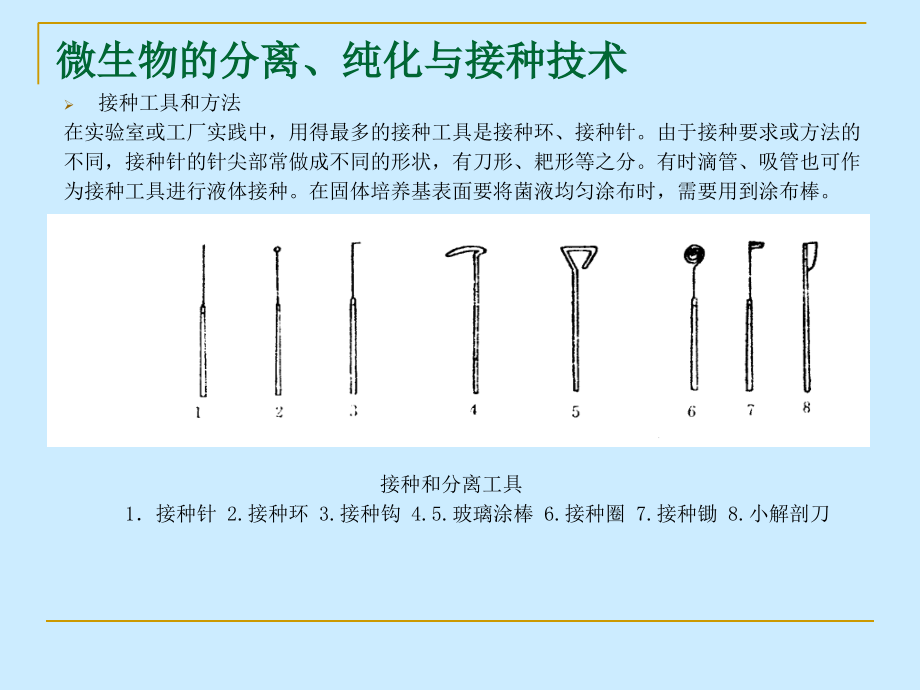 微生物检测技术.ppt_第1页