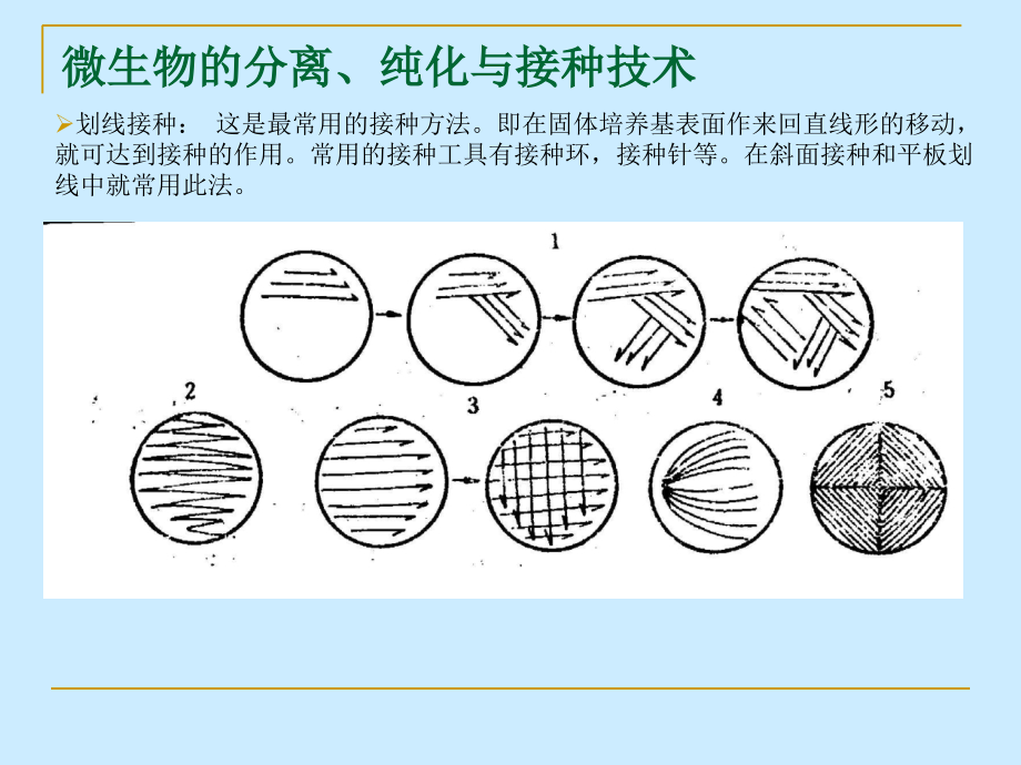 微生物检测技术.ppt_第2页