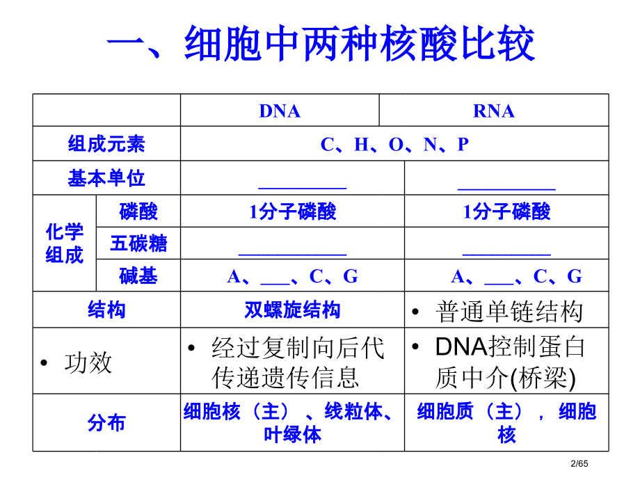 高中生物基因指导蛋白质合成.pptx_第2页