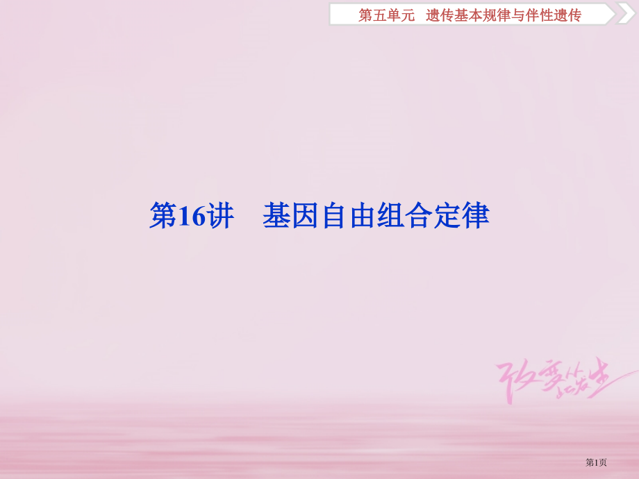 高考生物复习第五单元遗传的基本规律与伴性遗传第16讲基因的自由组合定律全国公开课一等奖百校联赛示范课.pptx_第1页