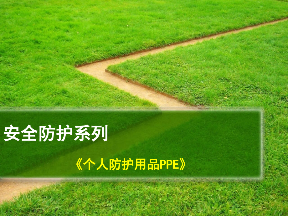 安全培训(个体安全防护).pptx_第1页