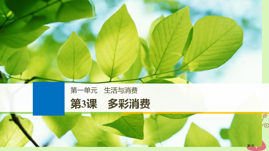 高考政治复习第一单元生活与消费第3课多彩的消费市赛课公开课一等奖省名师优质课获奖课件.pptx_第1页