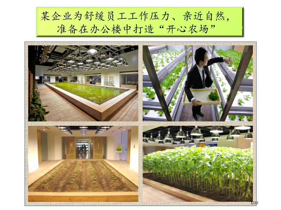 环境因素对光合作用的影响及其应用.pptx_第1页