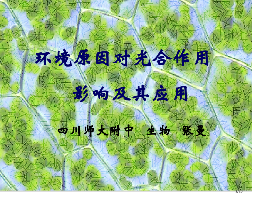 环境因素对光合作用的影响及其应用.pptx_第2页