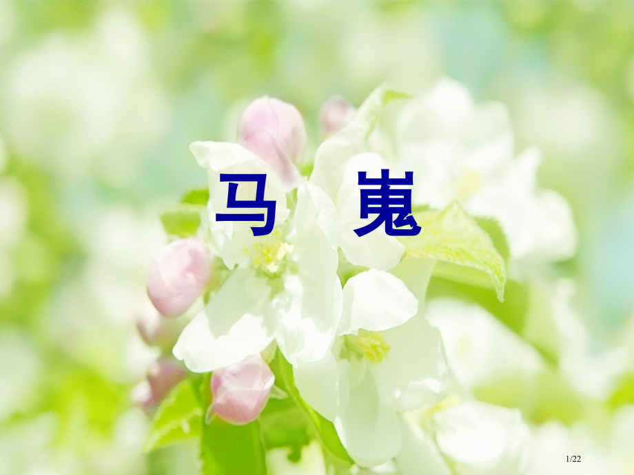 马嵬教师1.pptx_第1页