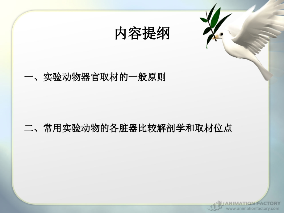 常用实验动物脏器的病理取材方法.ppt_第1页