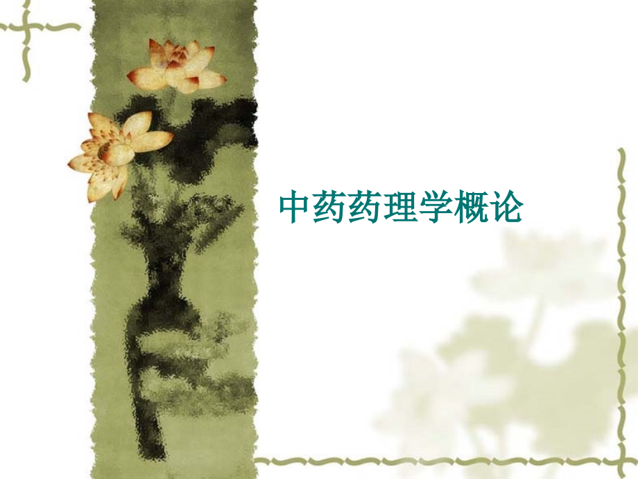 中药药理学概论.ppt_第1页