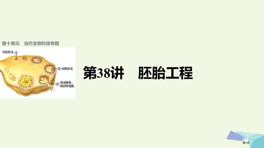 高考生物第10单元现代生物科技专题第38讲胚胎工程全国公开课一等奖百校联赛示范课赛课特等奖课件.pptx_第1页