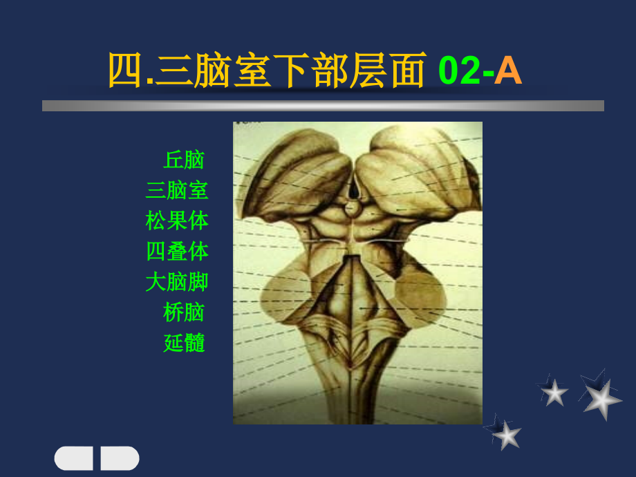 小儿头颅CT图谱3.ppt_第1页