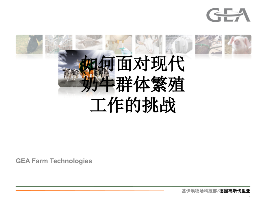 如何面对现代奶牛群体繁殖工作的挑战.ppt_第1页