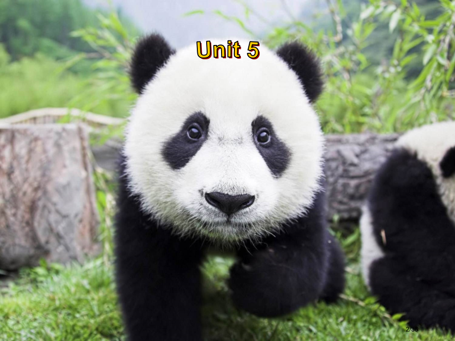 Unit5Whydoyoulikepandas.SectionBReading市公开课一等奖省赛课微.pptx_第2页