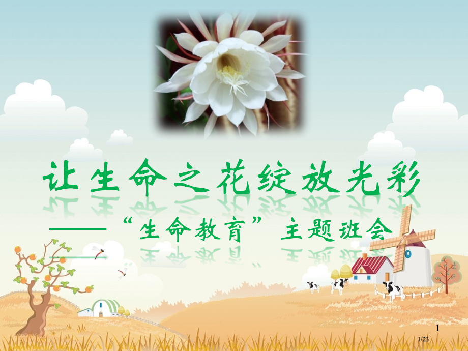生命教育主题班会.pptx_第1页
